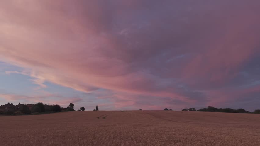 Slowly flying over the cornfield with dramatic skies at dusk