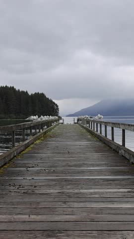 View of seagulls perched on the railings of a wooden pier extending into the water with forested hills under a cloudy sky in Hoonah, Alaska, United States.