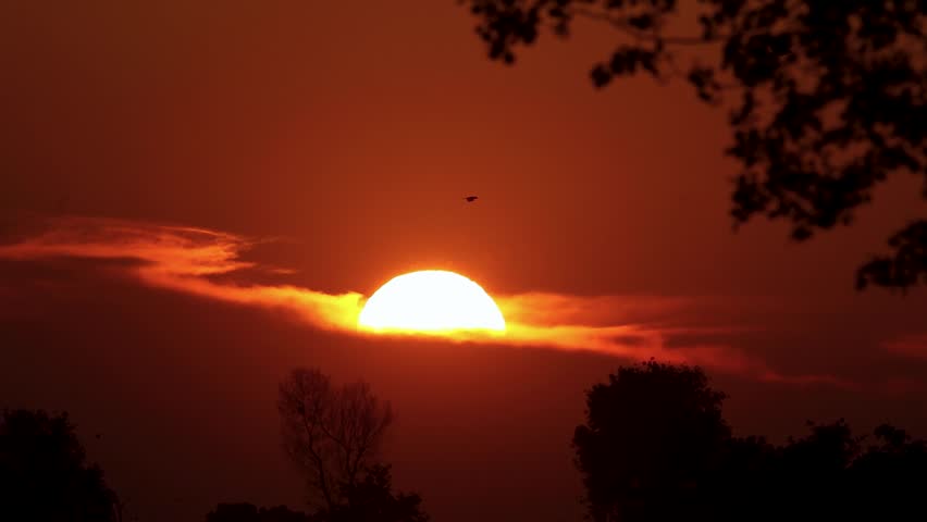 View of a glowing sun setting behind thin clouds with silhouetted trees and birds in the orange sky in Lahore, Punjab, Pakistan.