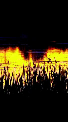 Colorful Sunset Over a National Park Lake in Canada