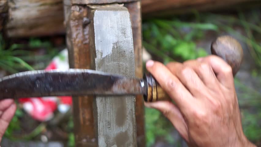Close-up shot of a man