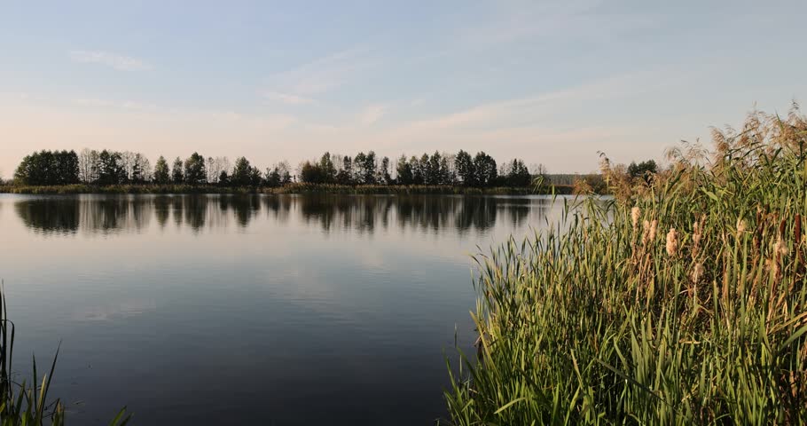 a lake in calm autumn weather at sunset, a wide lake with plants in the autumn at sunset