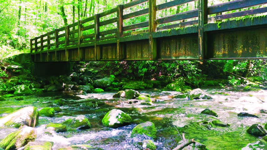 Wooden Bridge Crossing The Oconaluftee River on The Kephart Prong Trail, Great Smoky Mountains National Park, North Carolina, USA