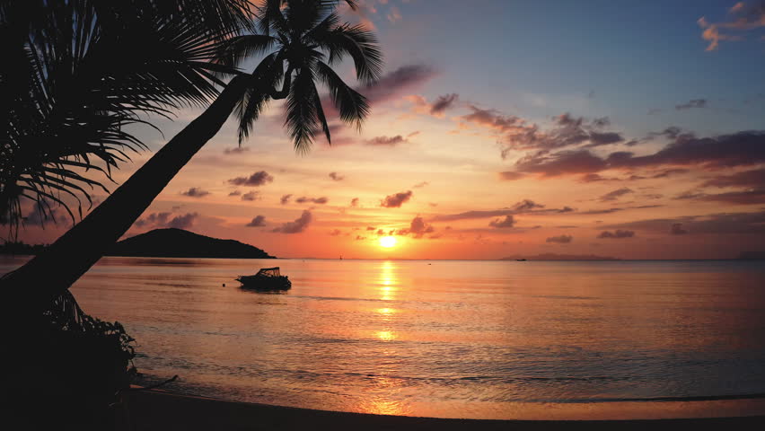Tropical beach paradise with palm tree silhouette frames a vibrant sunset over the tranquil ocean, reflecting a warm glow on the water. A small boat rests peacefully near the shore in Samui, Thailand