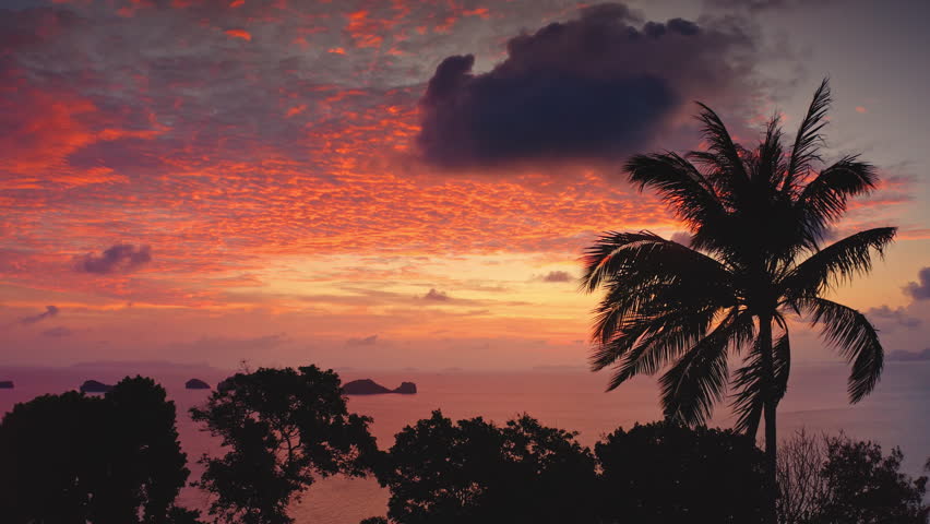 Palm tree silhouette and lush tropical foliage framing a dramatic, colorful sunset sky with scattered clouds over calm ocean and distant islands of Koh Samui, Thailand tropical paradise. Drone shot