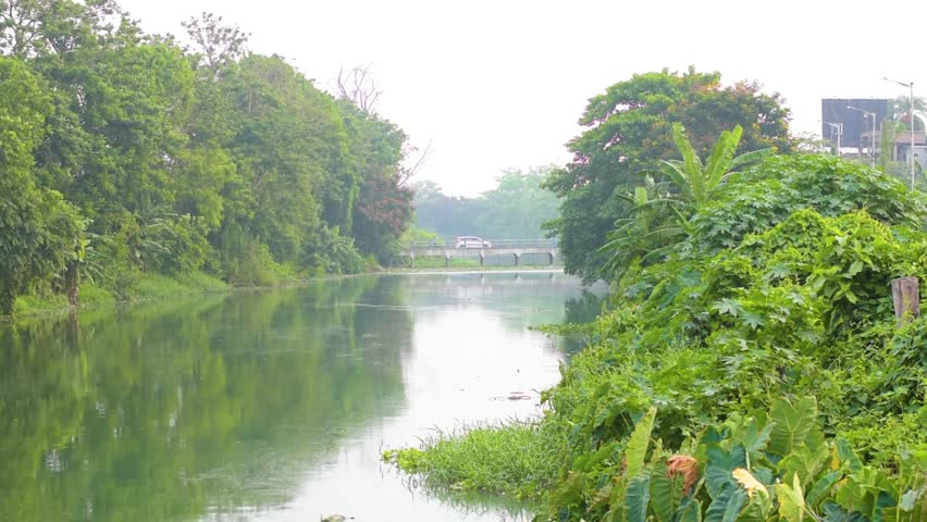 Scenic morning view of a bridge spanning a calm canal with light traffic and birds in flight, creating a peaceful atmosphere with natural beauty and tranquil waters.