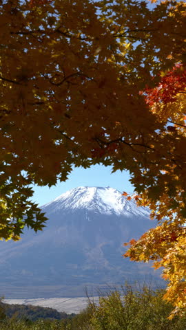 Mount Fuji Framed with Autumn Leaves (Vertical, Real-Time, TIlt Down): Nijumagari Pass, Oshino Village, Yamanashi Prefecture, Japan