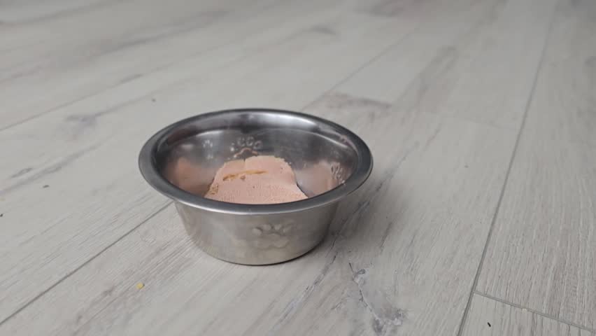 A cat approaches a metal bowl and starts to eat its food while sitting on the wooden floor. The light is warm, and the room looks inviting. The cat focuses on its meal.