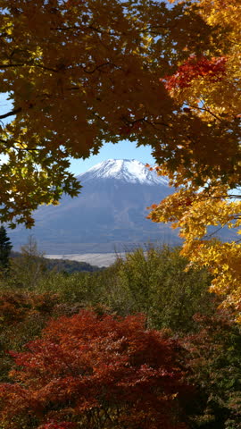 Mount Fuji Framed with Autumn Leaves (Vertical, Real-Time, Static): Nijumagari Pass, Oshino Village, Yamanashi Prefecture, Japan