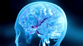 Brain digital transparent. Neuron connections. Futuristic medical technology concept. Can be used in medical elements or science, 3D Render. - Powered by Shutterstock - Get 15% off with code: PIKWIZARD15