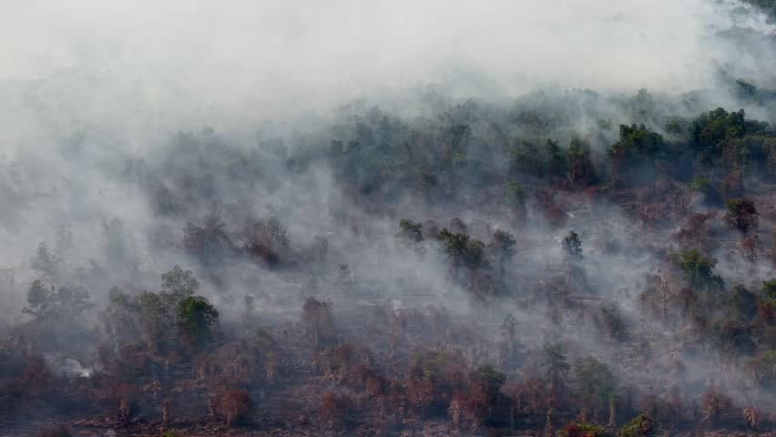 Thick smoke rises from burning forested hills. Trees stand dark, their leaves partially obscured. Smoke drifts slowly, swirling over the terrain