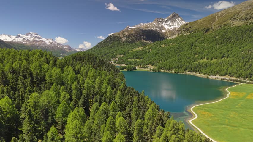 Stunning aerial view of turquoise Lake Champfer near Sankt Moritz, dense green pine forests and snow mountains in Switzerland. Champfer lake with footpaths on shore, Engadin valley of Swiss Alps