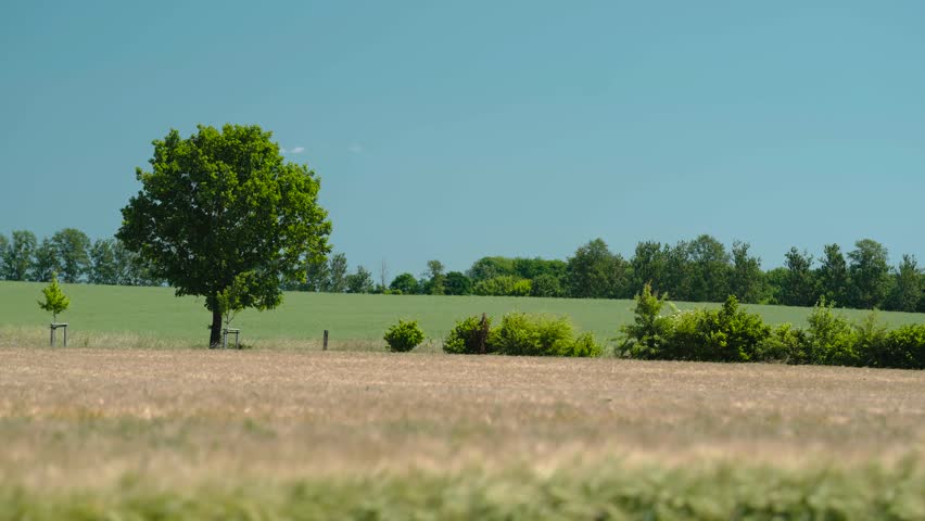 Wide landscape in summer time 