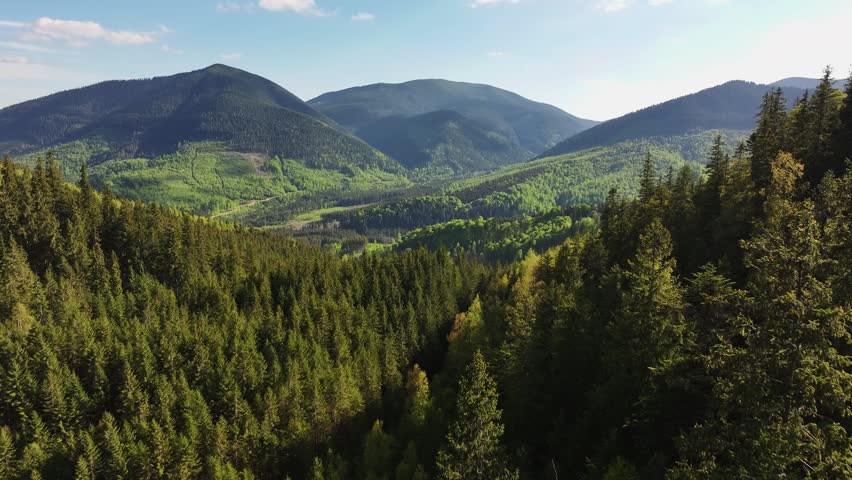 Aerial view green mountain landscape. Rolling hills covered in dense pine forests and trees stretch into the distance. Contrasting shades of green and distant peaks create a serene, picturesque view
