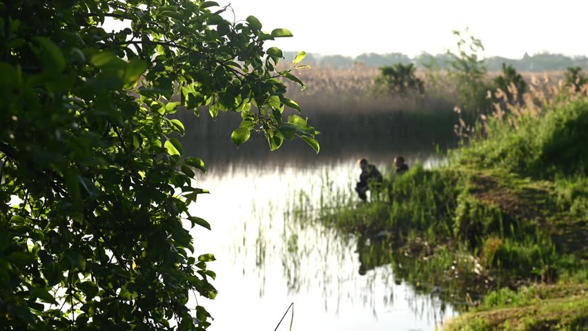 Blurred fishermen sit near calm river bank behind green tree foliage during morning sunrise. Quiet water surface reflects warm sunlight. Far fishermen enjoy traditional hobby concept.