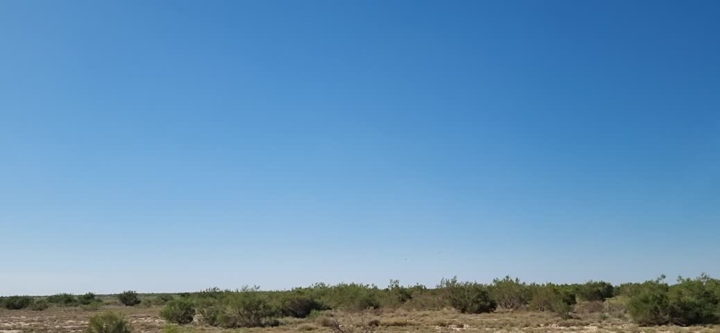 Clay Desert with Saxaul Shrubs Under Blue Sky