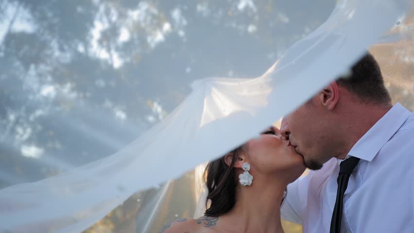 Bride and groom kiss at wedding under diffuse light under lacy veil