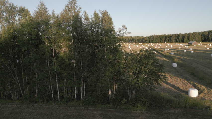 Hay bales with plastic on a summer field in Finland. Aerial view