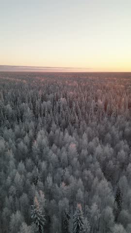 Winter Sunrise Over Frosty Snow Covered Forest. Vertical aerial view of the rising sun above a vast frost covered winter forest and snowy clearing during severe cold of minus 30 degrees Celsius.