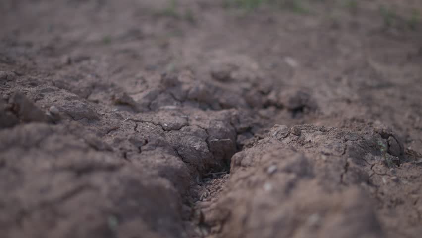 Close-up of brown, cracked earth. Deep fissures split the soil. Ground appears parched and dry. Severe drought conditions are shown. Water scarcity concerns are evident