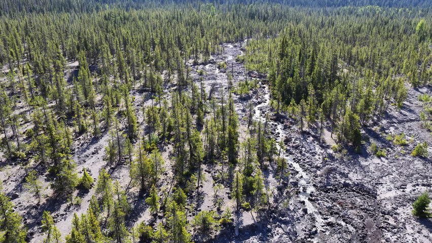 Extensive forest grows in a volcanic valley near Mt. Hood, Oregon. This scenic and wild area, close to Portland, offers year-round recreation.