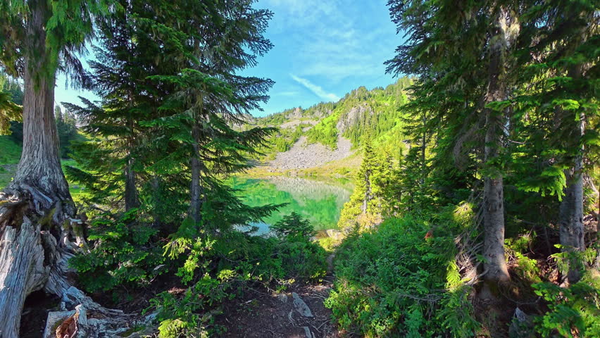 On the Shores of Lunch Lake in Olympic National Park