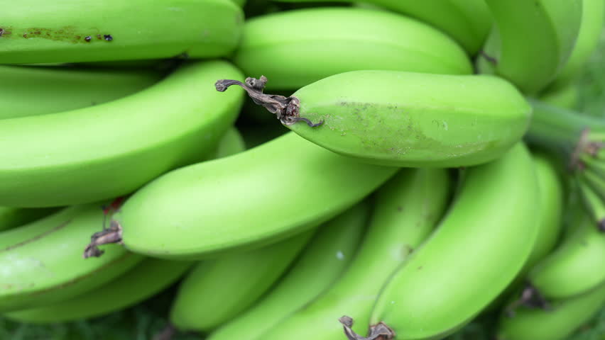 Detailed close-up shot of vibrant, unripe green bananas in a bunch. The frame captures the smooth textures and bright color in natural lighting, emphasizing freshness and organic appeal.