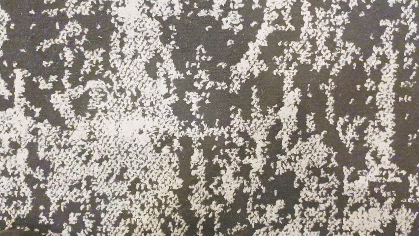 abstract grey and white carpet texture background with modern fabric material patterns.
