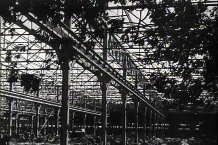 1940s - Airplanes are built for World War Two in an American factory at Lockheed, Burbank.
