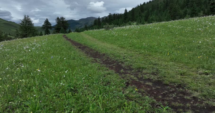 Hiking trail in grassland and snow capped mountain landscape in Sichuan, China	