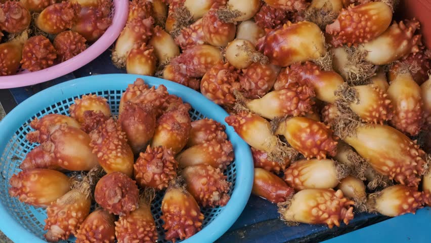 Fresh sea squirts displayed at Busan fish market showcasing traditional Korean seafood delicacies, local marine products and coastal seafood trade in South Korea, Asia