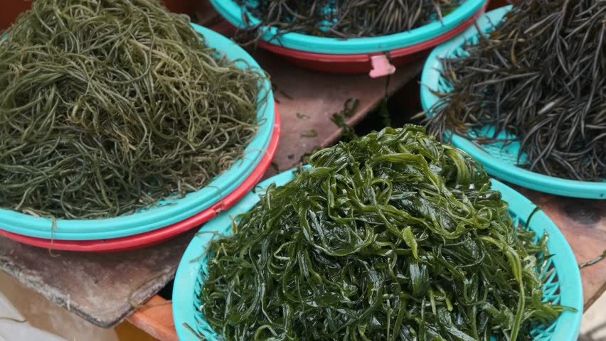 Fresh edible seaweed varieties displayed at traditional seafood market in Busan, South Korea. Marine vegetables widely used in Korean cuisine, healthy diets and Asian food culture