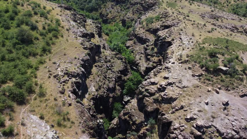 Aerial view looking down along a dramatic mountain gorge with sharp rock fractures, parched yellow slopes and a dense green river thicket on the valley floor in Kazakhstan.
