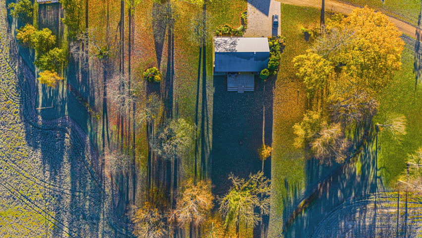 A Quiet Countryside Home Rests Among Long Shadows and Golden Autumn Trees - Aerial Topdown Shot