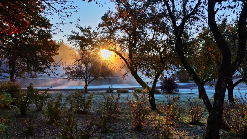 Sunrise with mist through autumn trees, peaceful and serene landscape