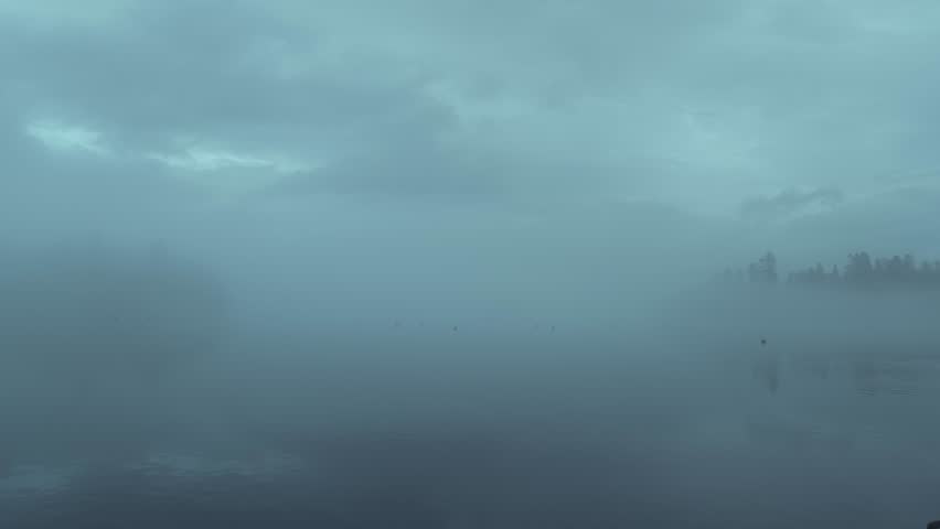 Atmospheric time-lapse of ducks gliding across mysterious lake surface. Thick blue fog obscures distant treeline under moody overcast sky. Ethereal morning scene with gentle ripples.