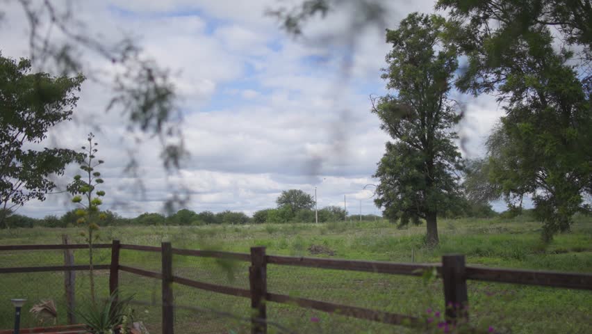 Blurred tree branches fill the foreground. Wooden fence divides the grassy field. Cloudy sky visible beyond. Clear fence borders the wide open field. Green grass covers the land