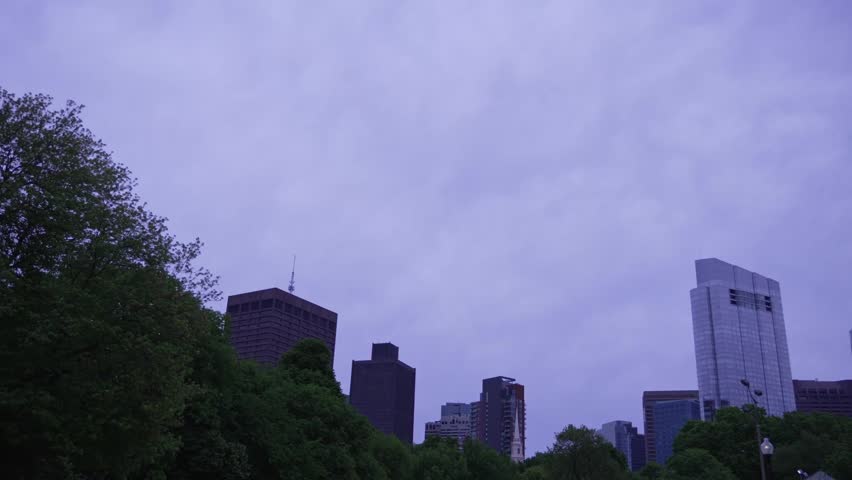 Dramatic cloudy sky above dense park trees areas of Boston Common urban park on a resting weekend, Boston, Massachusetts, United States