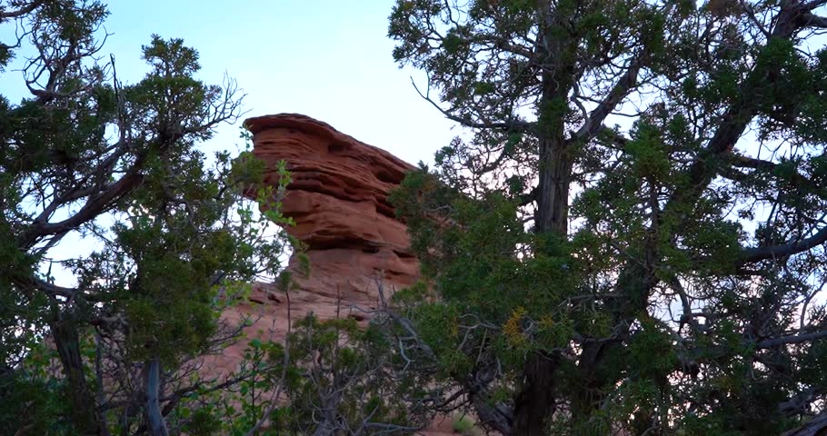 View of red rock landmark through trees in Arches National Park, Utah