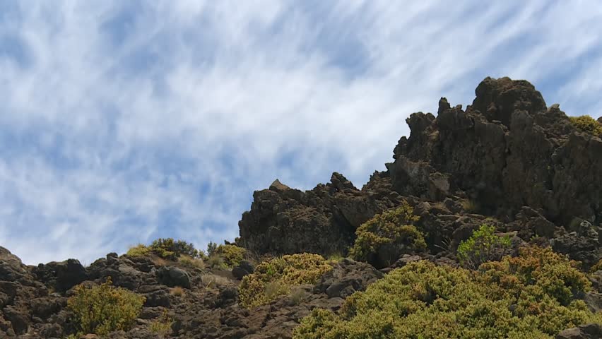 Rugged volcanic rock formations and native alpine vegetation in Haleakalā National Park, Maui, Hawaii, United States. Static daytime establishing shot