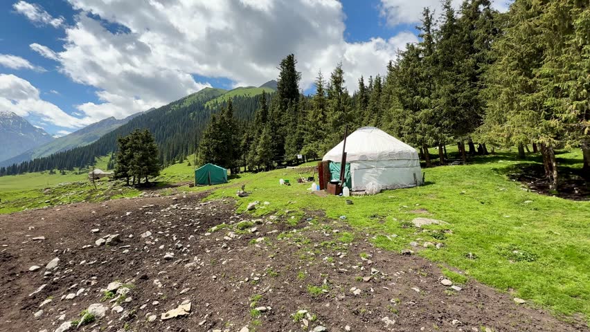 Yurt on a green alpine meadow among spruce trees and mountains