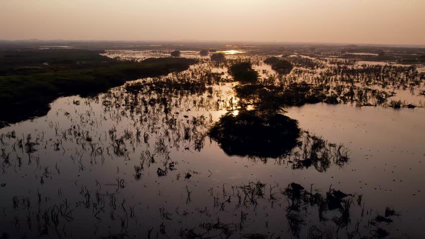 beautiful sunset over a vast wetland in gujarat india with calm water reflections and natural marsh vegetation. scenic landscape showcasing the peaceful beauty of wetland ecosystems during golden hour.