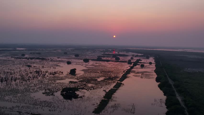 beautiful sunset over a vast wetland in gujarat india with calm water reflections and natural marsh vegetation. scenic landscape showcasing the peaceful beauty of wetland ecosystems during golden hour.