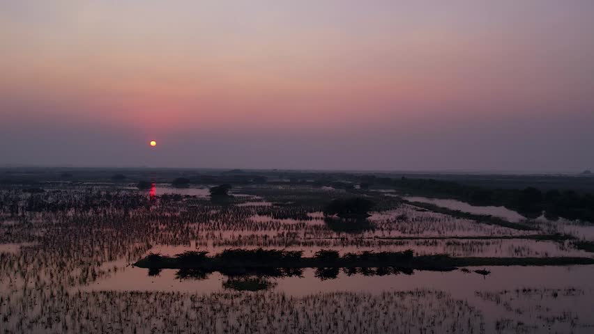 beautiful sunset over a vast wetland in gujarat india with calm water reflections and natural marsh vegetation. scenic landscape showcasing the peaceful beauty of wetland ecosystems during golden hour.