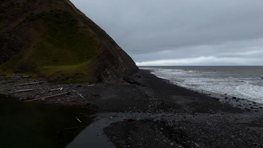 Aerial view of the rugged coastline along the Lost Coast Trail with dark sand beaches, crashing waves, and grassy cliffs under a cloudy sky in Whitethorn, California, United States.