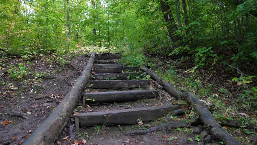 Walking up weathered wooden steps on a forest trail. Natural path with green foliage and trees, outdoor adventure clip.