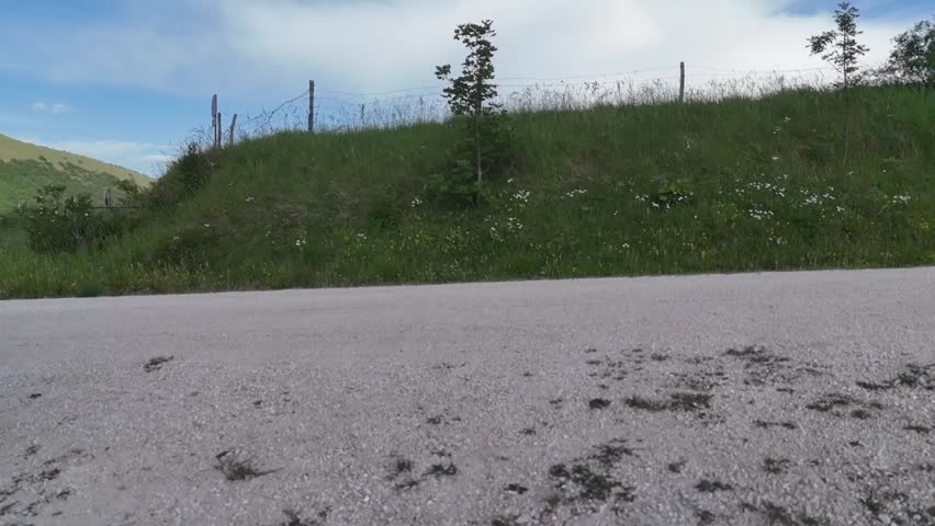 Grassy slope along a road, with green lawn, small wildflowers and a fence on the ridge under a partly cloudy sky