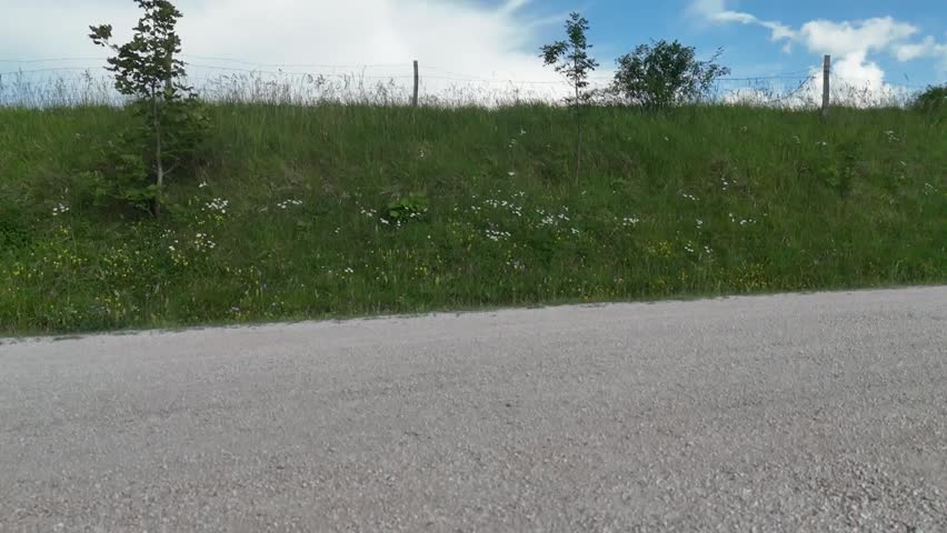Grassy slope along a road, with green lawn, small wildflowers and a fence on the ridge under a partly cloudy sky