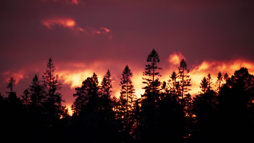 Dramatic sunset over silhouetted evergreen trees featuring intense red and orange clouds. Cinematic nature footage showing transition of light during dusk in forest environment.