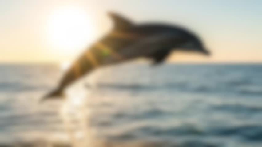 Blurry photo of dolphin jumping out of water during sunrise or sunset.